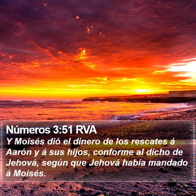 Números 3:51 RVA Bible Verse Image