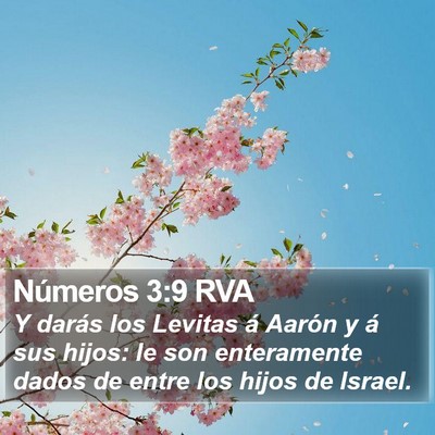 Números 3:9 RVA Bible Verse Image
