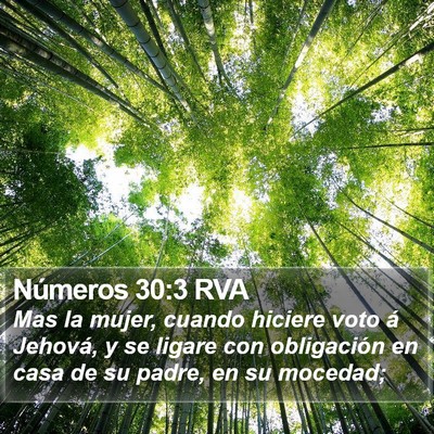 Números 30:3 RVA Bible Verse Image