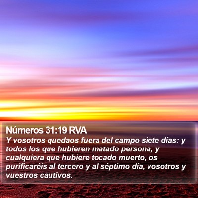 Números 31:19 RVA Bible Verse Image