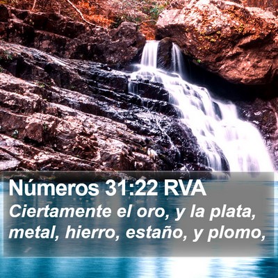 Números 31:22 RVA Bible Verse Image