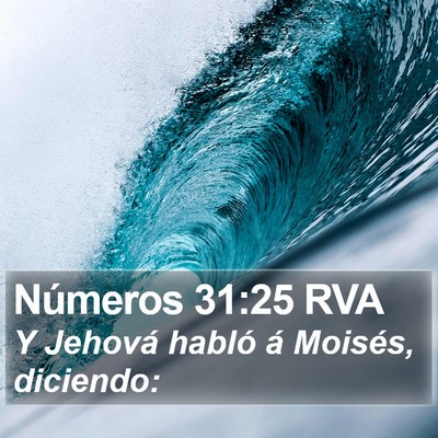 Números 31:25 RVA Bible Verse Image