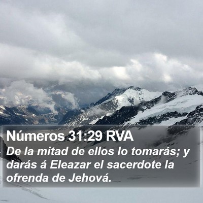 Números 31:29 RVA Bible Verse Image