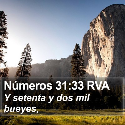 Números 31:33 RVA Bible Verse Image