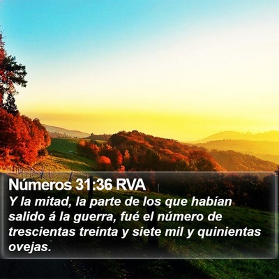 Números 31:36 RVA Bible Verse Image