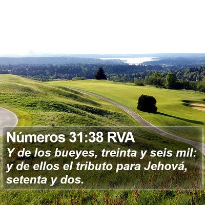 Números 31:38 RVA Bible Verse Image