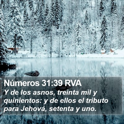 Números 31:39 RVA Bible Verse Image