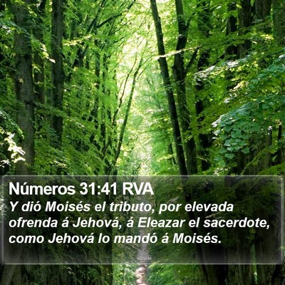 Números 31:41 RVA Bible Verse Image