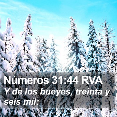 Números 31:44 RVA Bible Verse Image
