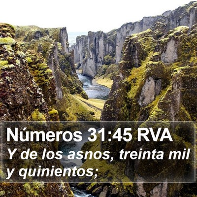 Números 31:45 RVA Bible Verse Image