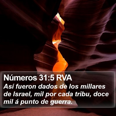 Números 31:5 RVA Bible Verse Image