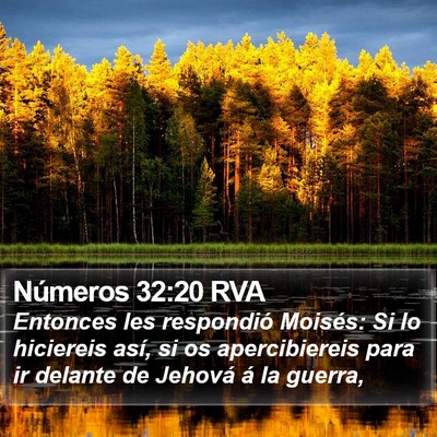 Números 32:20 RVA Bible Verse Image