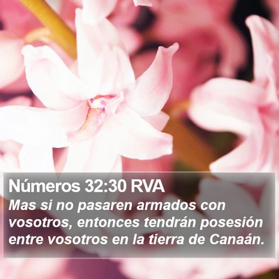 Números 32:30 RVA Bible Verse Image
