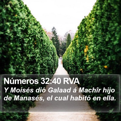 Números 32:40 RVA Bible Verse Image