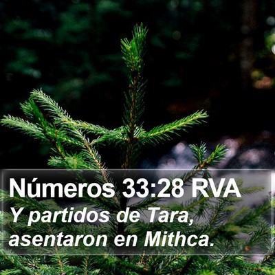Números 33:28 RVA Bible Verse Image