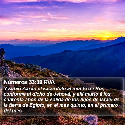 Números 33:38 RVA Bible Verse Image