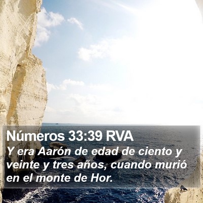 Números 33:39 RVA Bible Verse Image