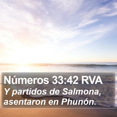 Números 33:42 RVA Bible Verse Image