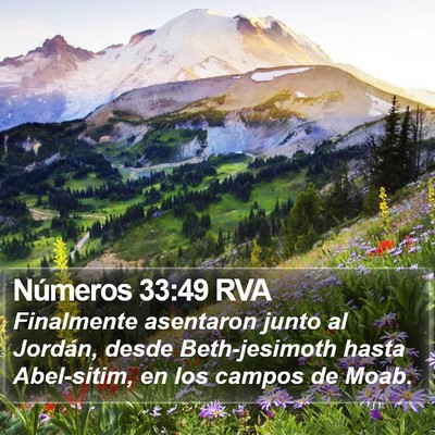 Números 33:49 RVA Bible Verse Image