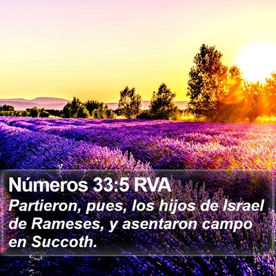 Números 33:5 RVA Bible Verse Image