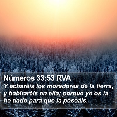 Números 33:53 RVA Bible Verse Image