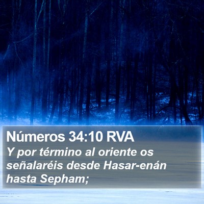 Números 34:10 RVA Bible Verse Image