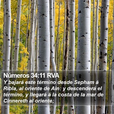 Números 34:11 RVA Bible Verse Image