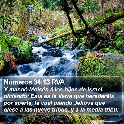Números 34:13 RVA Bible Verse Image