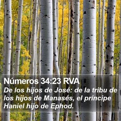 Números 34:23 RVA Bible Verse Image