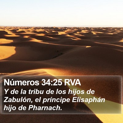 Números 34:25 RVA Bible Verse Image