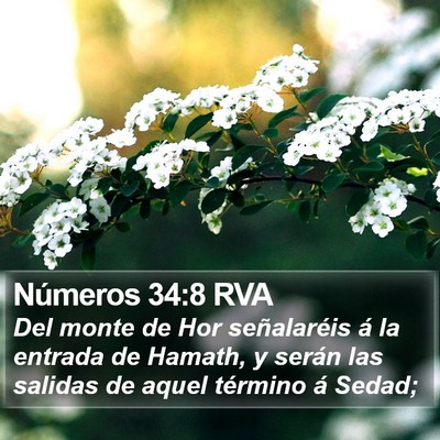 Números 34:8 RVA Bible Verse Image