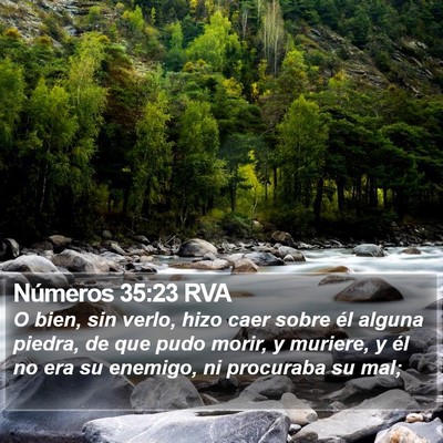 Números 35:23 RVA Bible Verse Image
