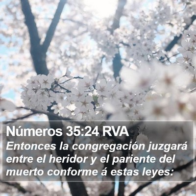 Números 35:24 RVA Bible Verse Image