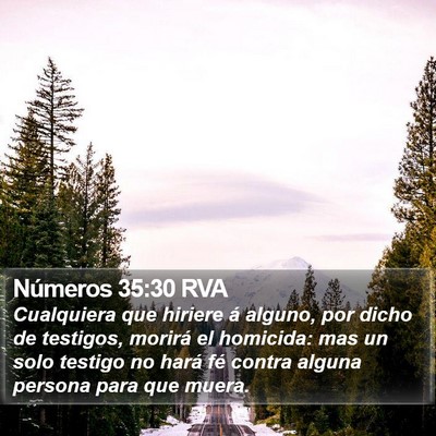 Números 35:30 RVA Bible Verse Image