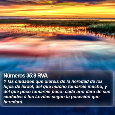 Números 35:8 RVA Bible Verse Image