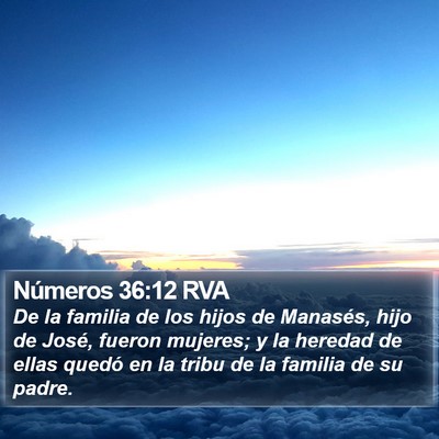 Números 36:12 RVA Bible Verse Image