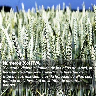 Números 36:4 RVA Bible Verse Image