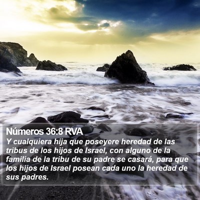 Números 36:8 RVA Bible Verse Image