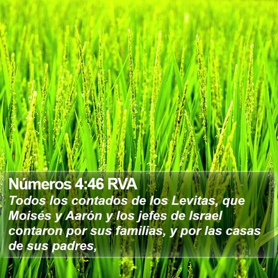 Números 4:46 RVA Bible Verse Image