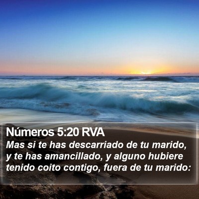 Números 5:20 RVA Bible Verse Image