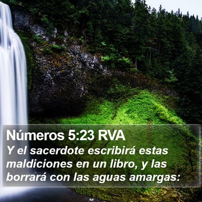 Números 5:23 RVA Bible Verse Image