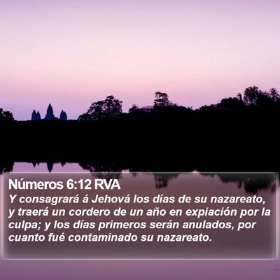 Números 6:12 RVA Bible Verse Image