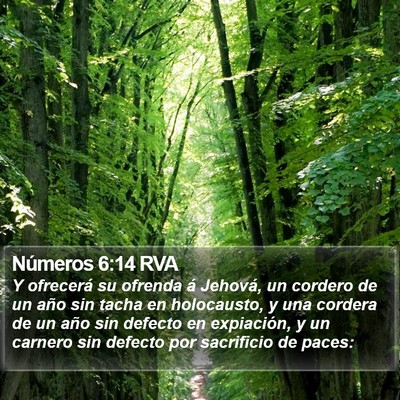 Números 6:14 RVA Bible Verse Image