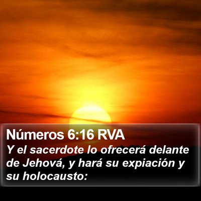 Números 6:16 RVA Bible Verse Image