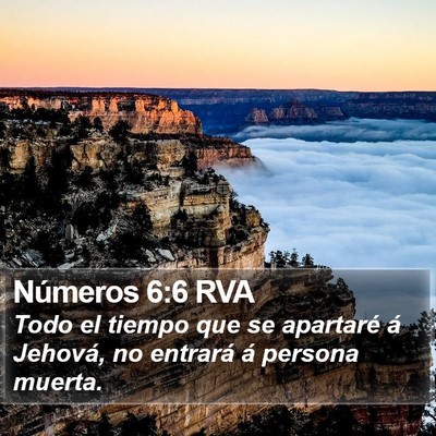 Números 6:6 RVA Bible Verse Image