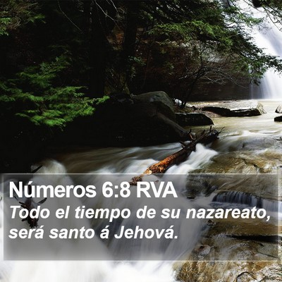 Números 6:8 RVA Bible Verse Image