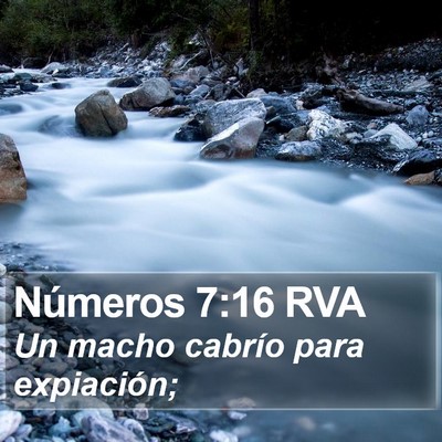 Números 7:16 RVA Bible Verse Image