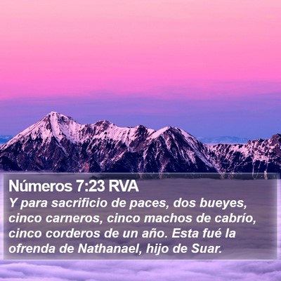 Números 7:23 RVA Bible Verse Image