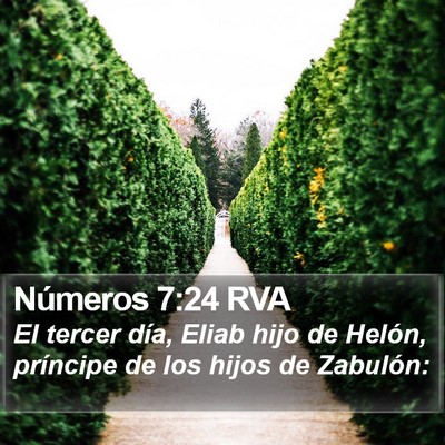 Números 7:24 RVA Bible Verse Image