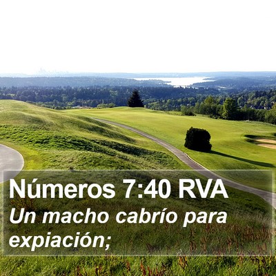 Números 7:40 RVA Bible Verse Image